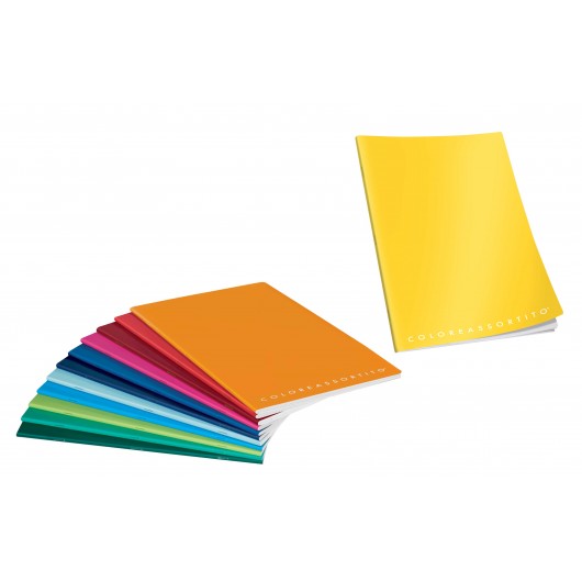 MAXI COLOREASSORTITO 80GR.10404 2 COL.12PZ.                 