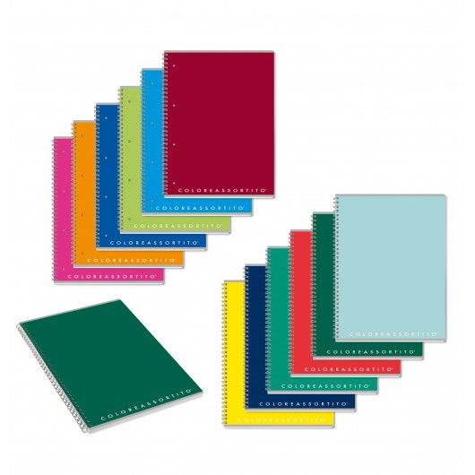 MAXI SPIRALE COLOREASSORTITO 4518 1R S/FORI 5PZ.            