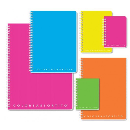MAXI SPIRALE COLOREASSORTITO PPL C/FORI 10345 5MM. 5PZ.     
