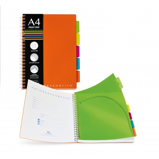 MAXI SPIRALE COLOREASS.PPL C/DIVISORI C/FORI 10790 4MM. 5PZ.